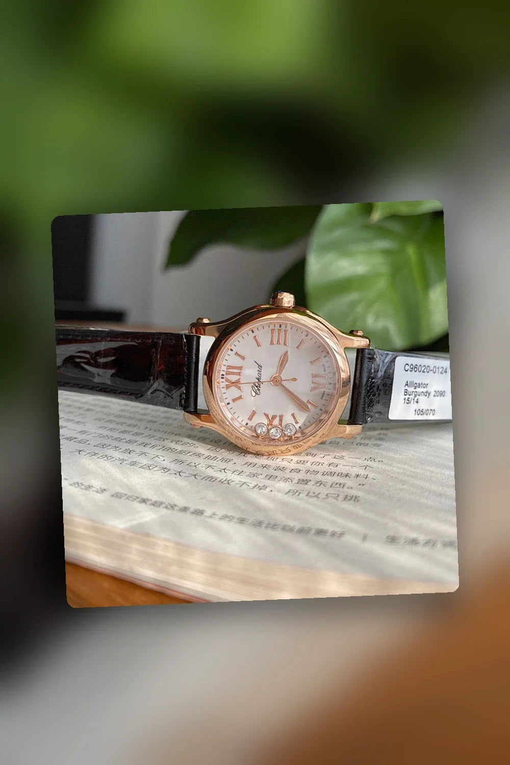 Aurel Bags Mix Watch 996