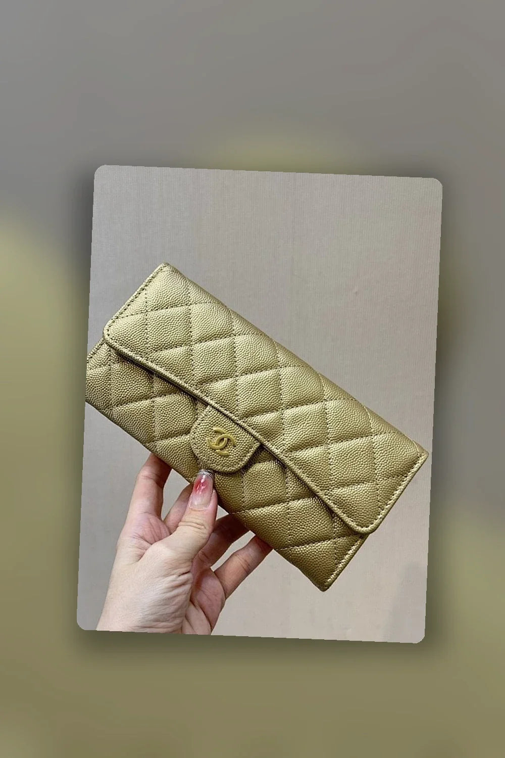 Aurel Bags Mix Wallet 340