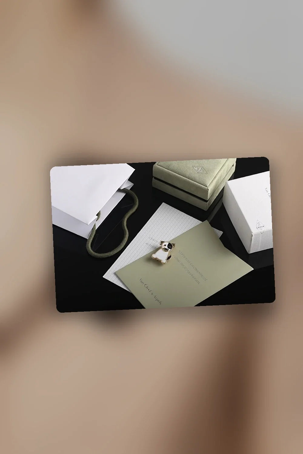Aurel Bags VACA Jewelry 072