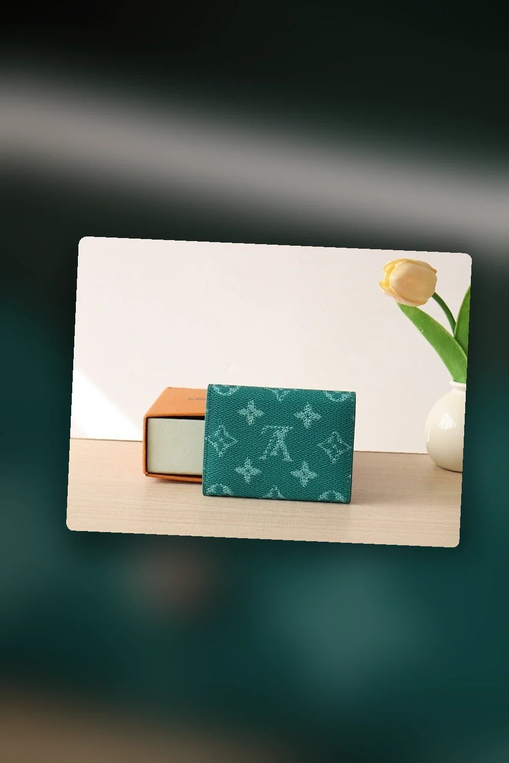 Aurel Bags Mix Wallet 171