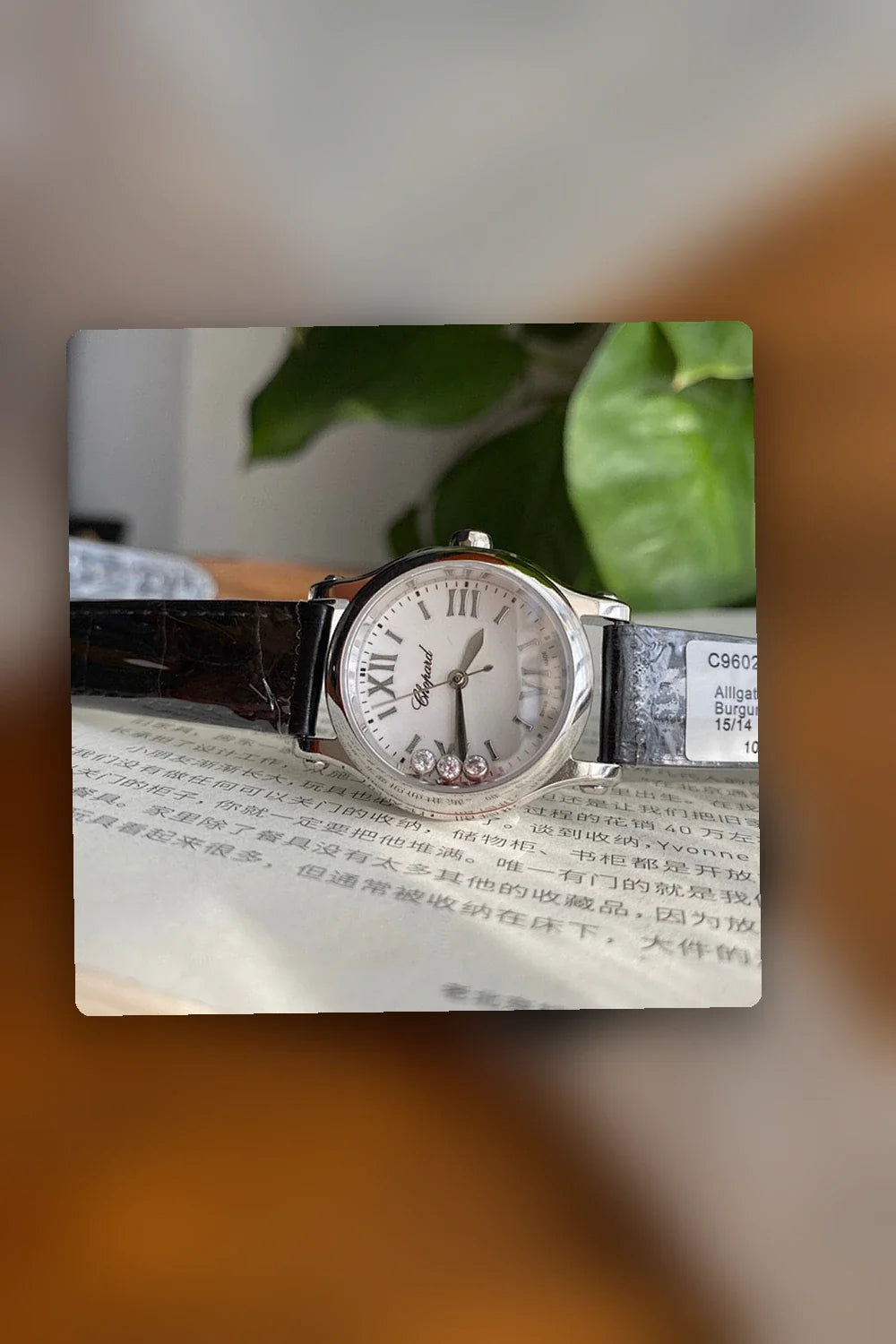 Aurel Bags Mix Watch 1010